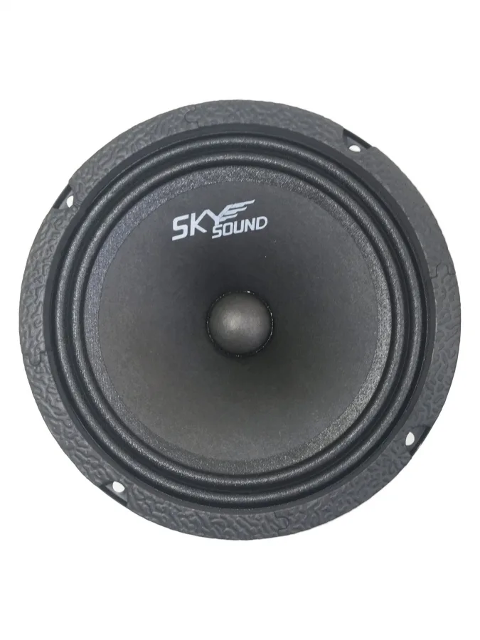 SKYSOUND COLIBRI SSC-65