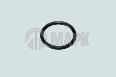 Кольцо уплот. на пробку резьбов. M22 ISBe, ISLe, ISF 3.8 DCEC