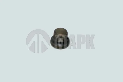 Пробка резьбовая (заглушка ГБЦ) (M10x1,00) (L) DCEC