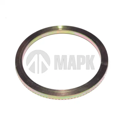 Кольцо ABS (Shaanxi Hande Axle Co., Ltd)