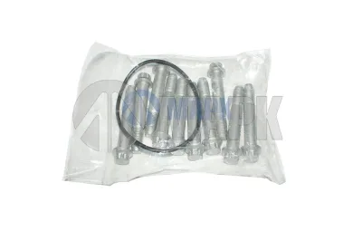 Комплект болтов крепления тормозного диска (10 болтов) M12x1.5x75 INTEGRAL (TrailerParts)