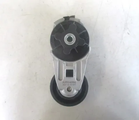 Натяжитель ремня SC9/D9-220