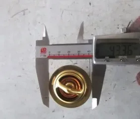 Термостат Shanghai D9-220 (элемент 76°C большой)