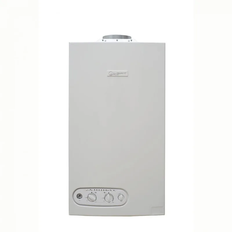 Котел газовый настенный WertRus ECO-24FF