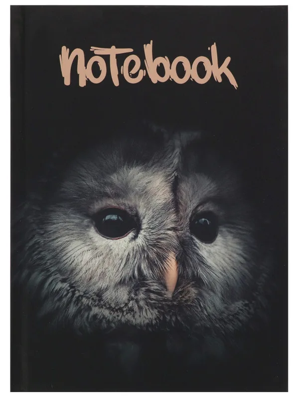 Записная книга А5 Сова (7БЦ, soft touch, крафт блок, 80 л) З80-3098