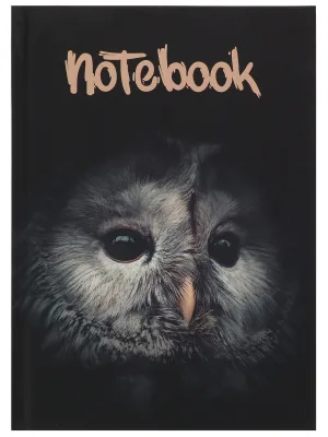 Записная книга А5 Сова (7БЦ, soft touch, крафт блок, 80 л) З80-3098