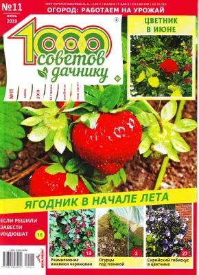 Журнал 1000 советов дачнику