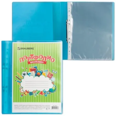 Портфолио ШКОЛЬНИКА BRAUBERG папка на 2 кольцах, 20 вкладышей, синяя, полупрозрачная