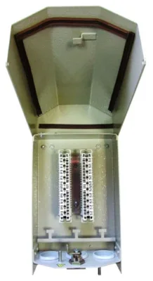 ЯК-П-20 (120911-00091)
