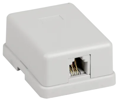 Розетка информационная настенная RJ12 CS2-3C03U-12-G