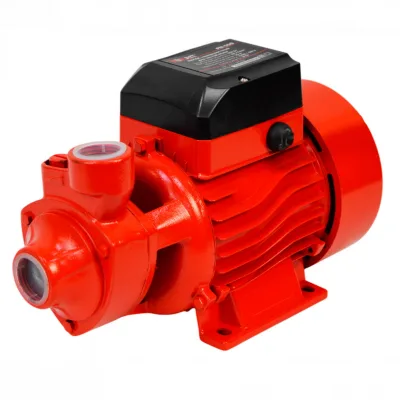 Насос поверхностный BRAIT PN-550 (550Вт, 60л/мин)