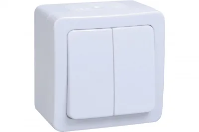 Выключатель 2-кл Гермес PLUS ВС20-2-0-ГПБ наружный IP54 IEK