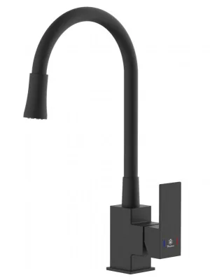 Смеситель для кухни гибкий излив, черный Diadonna D46-0011BL
