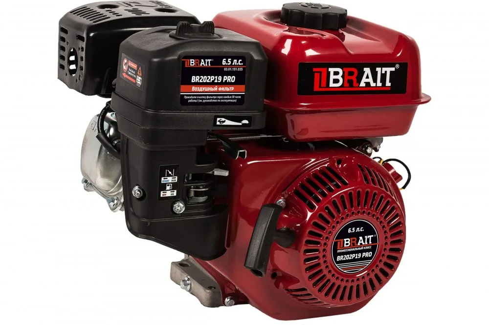 Двигатель PRO BRAIT BR202P19 (6,5л.с. шк.19мм)