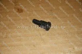 БОЛТ НАПРАВЛЯЮЩЕЙ ЦЕПИ Geely Atlas 1042001200