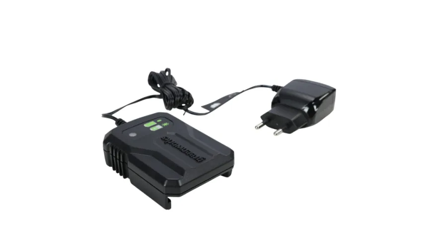 Зарядное устройство Greenworks G24UC2 (24V, 2А) 2946207