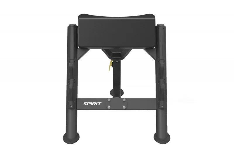 Скамья скотта SPIRIT SP-4206
