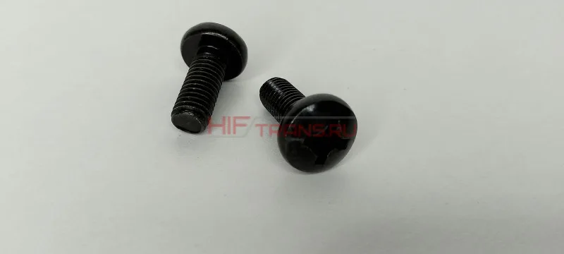 Винты с полукруглой головкой FOTON 4189 Q2140820F31