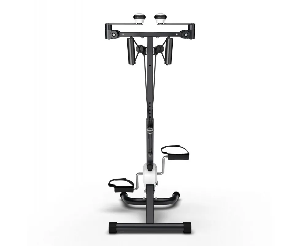 Велотренажер двойной DFC B810W dual bike