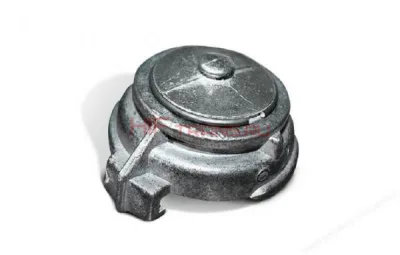Головка-заглушка напорная ГЗ-65(АП)-1,6 ПМ
