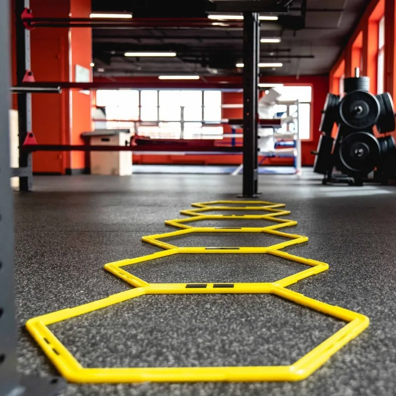 Лестница для функциональных тренировок, PROFI-FIT