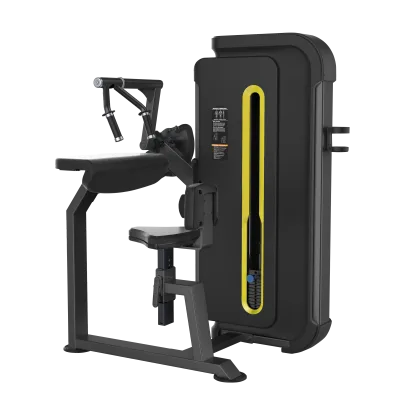 BRONZE GYM BW-3027 Разгибание рук сидя (прямая поверхность)