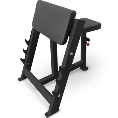 BRONZE GYM  AL-303 Скамья Скотта