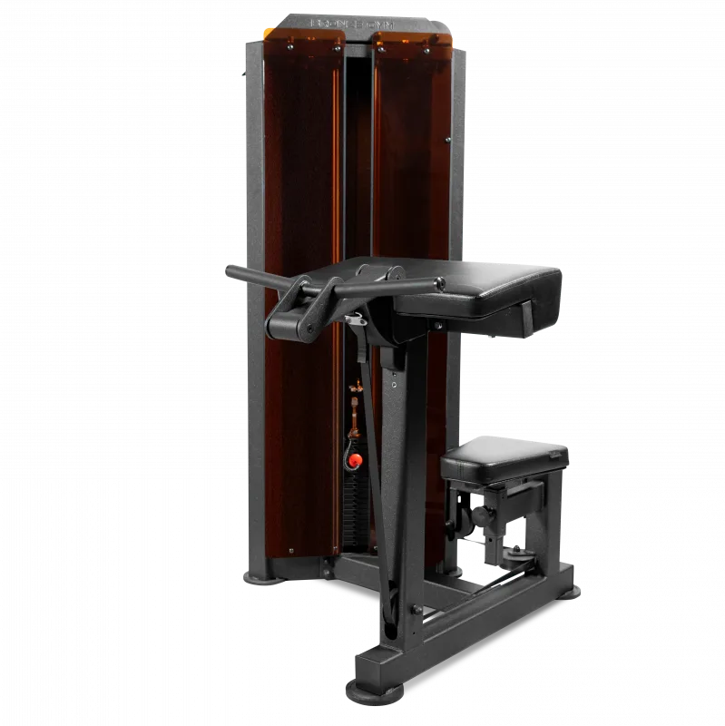 Бицепс машина профессиональный BRONZE GYM PARTNER ML-803