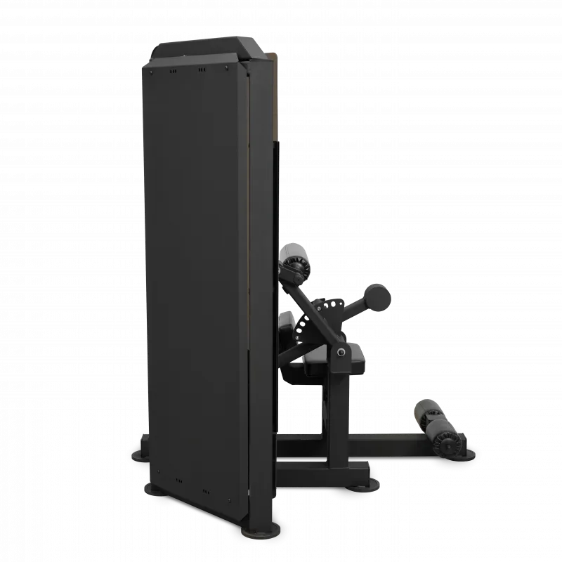 Пресс-машина профессиональный BRONZE GYM PARTNER ML-812