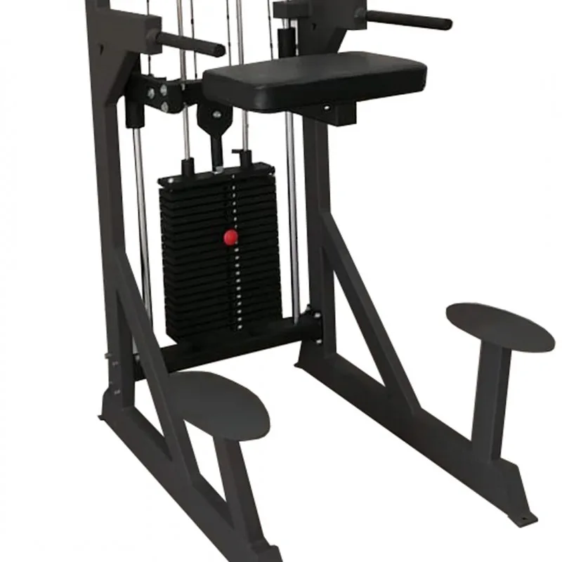 Гравитрон профессиональный BRONZE GYM PARTNER ML-701