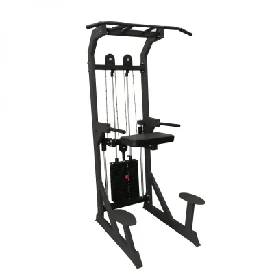 Гравитрон профессиональный BRONZE GYM PARTNER ML-701
