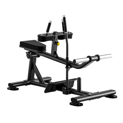 Голень сидя BRONZE GYM RAVE RV27