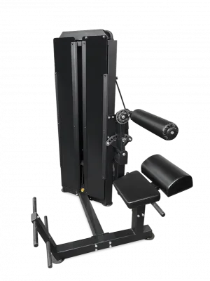 Разгибание спины профессиональный BRONZE GYM PARTNER ML-813