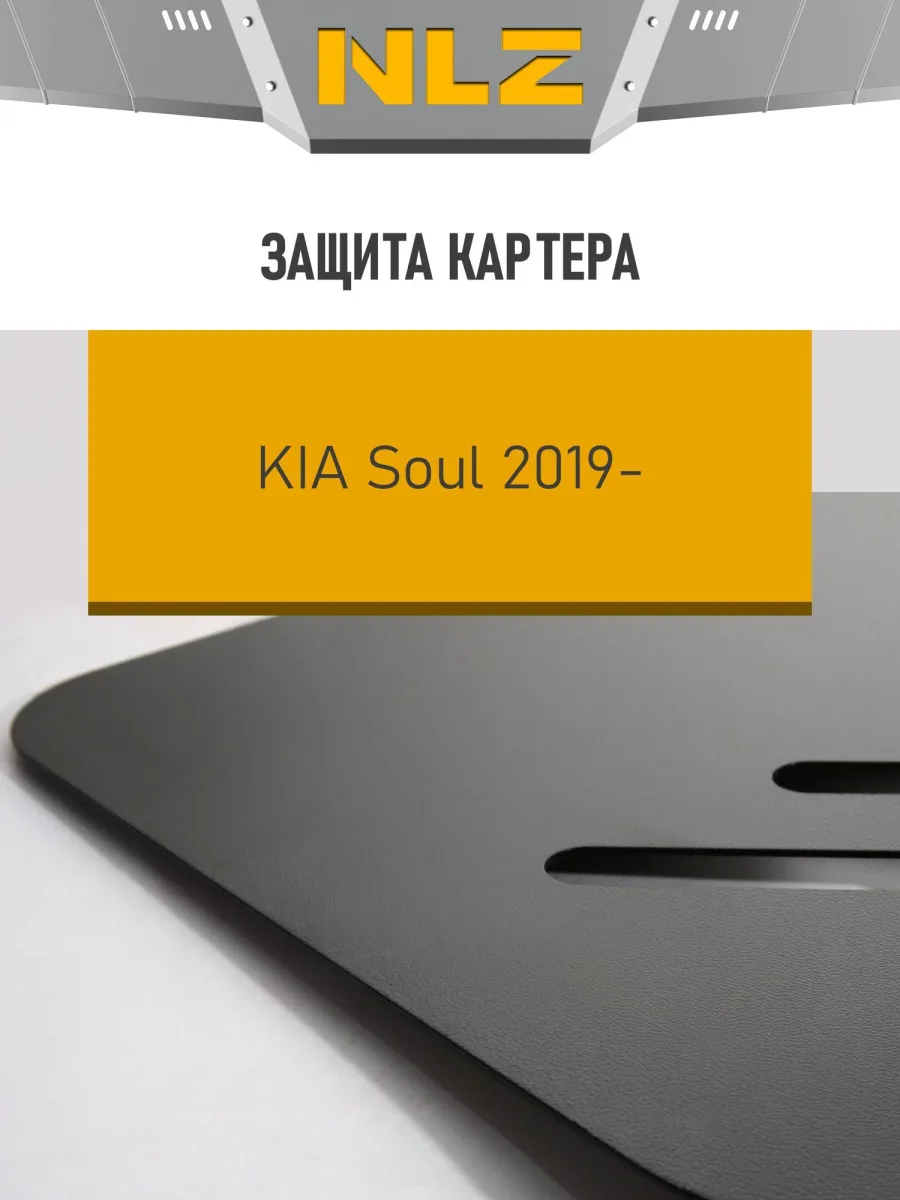 Защита картера для KIA Soul (19-),Seltos(19-), 2,0 бен. AT / Киа Сол