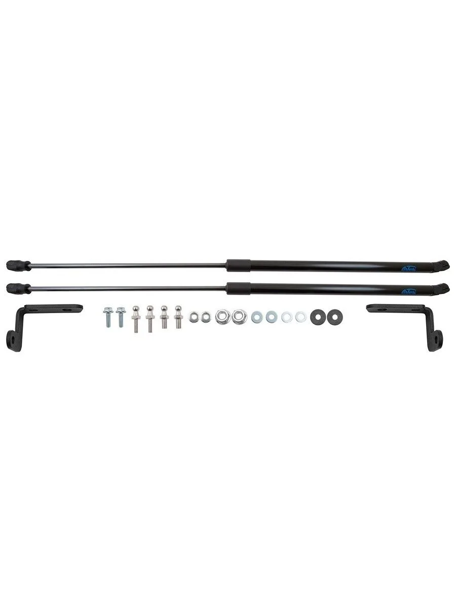 Упоры капота для CHERY Arrizo 8 2022-н.в. Arbori 2 шт. / Черри Арризо 8