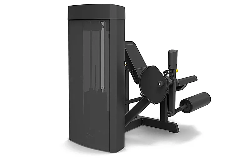 Разгибание ног сидя SPIRIT SP-4305