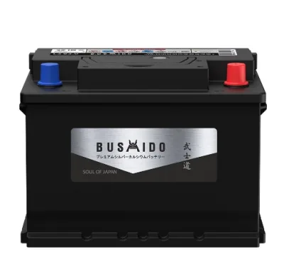 Аккумулятор BUSHIDO SJ 62 Ач обр. пол. 600А 242x175x190