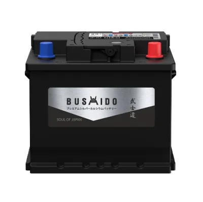 Аккумулятор BUSHIDO SJ 55 Ач обр. пол. низкий 500A 207x175x175