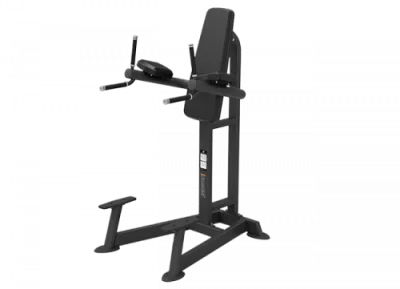 Пресс/брусья SPIRIT SP-4215