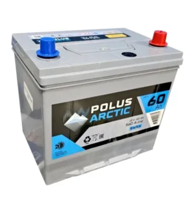 Аккумулятор POLUS ARCTIC 60D23L 60Ач обр. пол. 560А 230х173х220 Asia