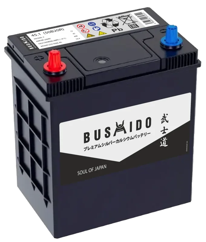 Аккумулятор Bushido 50B20R 45Ah прям. пол 400A 186x127x220
