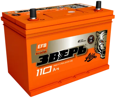 Аккумулятор Зверь Азия EFB 125D31R 110 Ач прям. пол. 950А 306х173х225