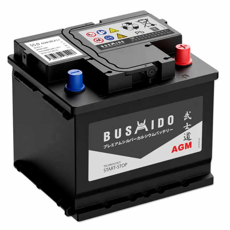 Аккумулятор Bushido AGM SA 55 Ач обр. пол. 450А 207x175x190