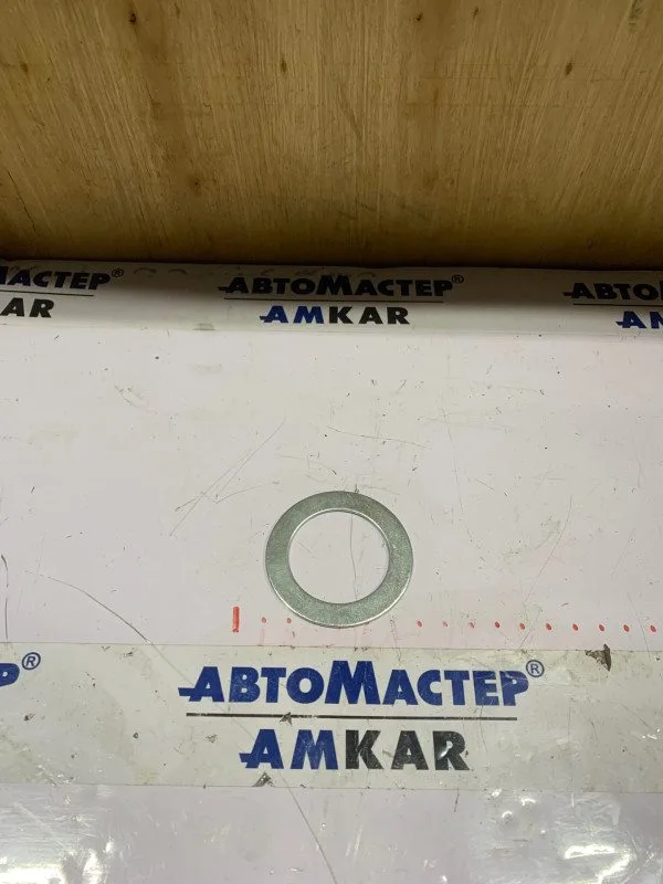 АМ-001487 Шайба