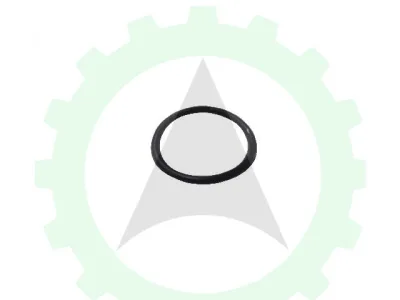 Кольцо уплотнительное d=22 форсунки Строймаш