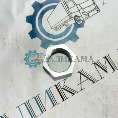 Гайка 110 вала мелкая резьба / ПАО КамАЗ