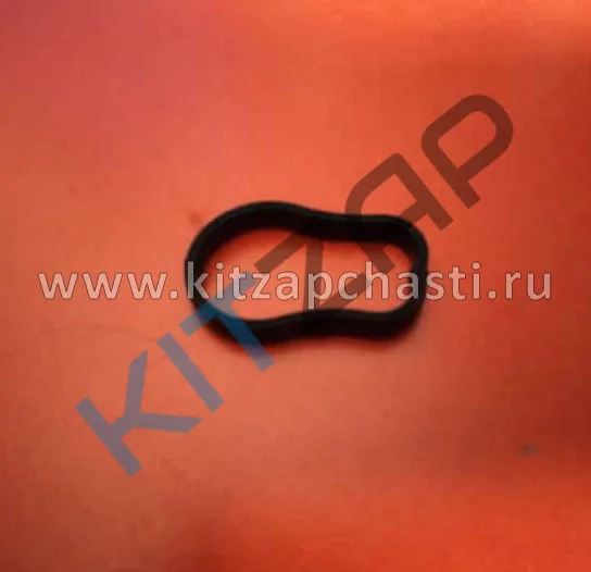 УПЛОТНИТЕЛЬНОЕ КОЛЬЦО МАСЛЯНОГО ФИЛЬТРА T1A/T1E/T1D/M31T/M32T/T1C  EXEED TXL F4J16-1012012