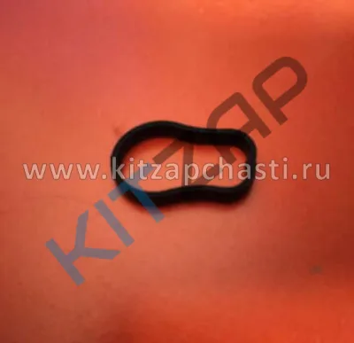 УПЛОТНИТЕЛЬНОЕ КОЛЬЦО МАСЛЯНОГО ФИЛЬТРА T1A/T1E/T1D/M31T/M32T/T1C  EXEED TXL F4J16-1012012