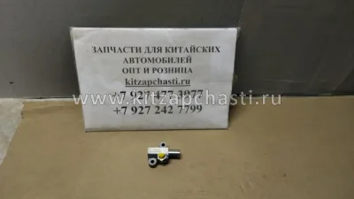 Болт натяжителя цепи ГРМ и корпуса термостата МОСКВИЧ 6 1010017GG010