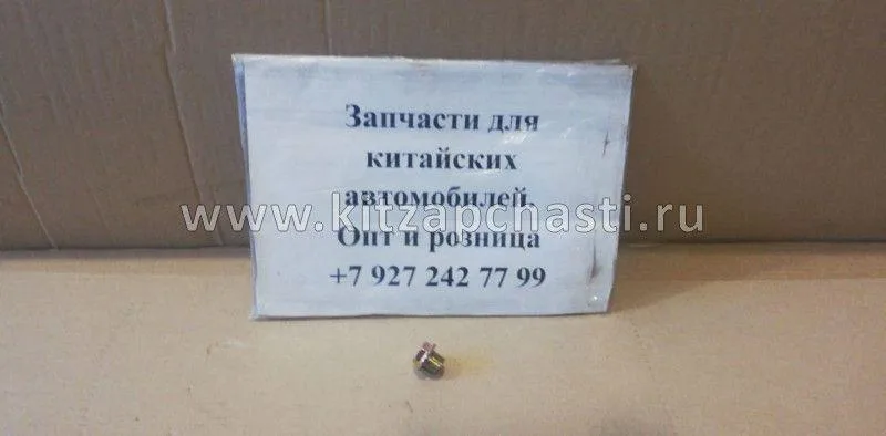 Сливная пробка поддона ДВС Jetour T2 481H1002042